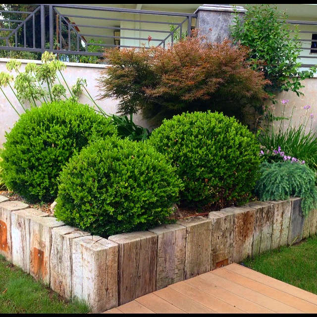 Peyzaj ve Çevre Tasarımlarımız